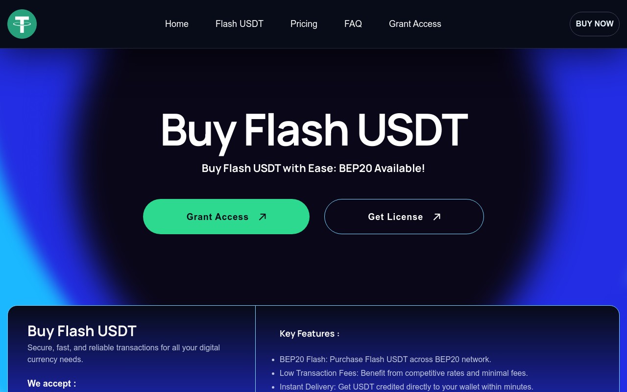 Screenshot of flashusdt.io