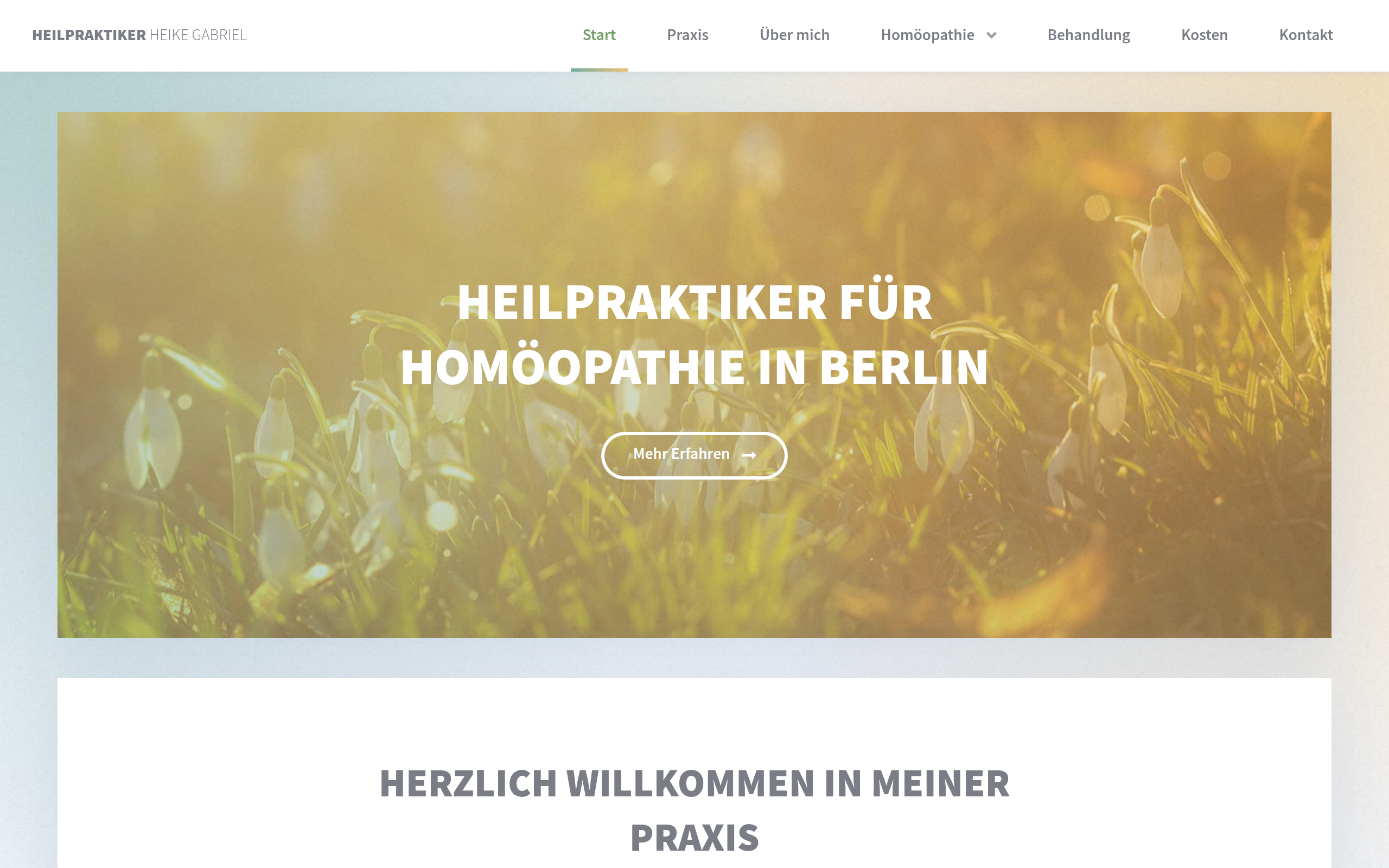 naturheilpraxis-homoeopathie-berlin.de