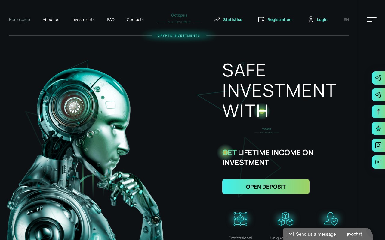 Screenshot of octopus-asset.com