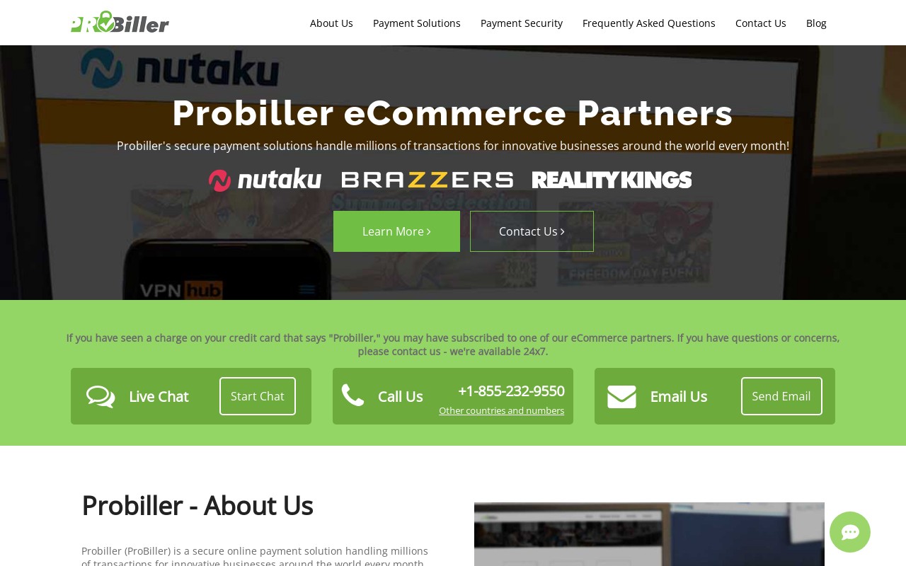 Screenshot of probiller.com