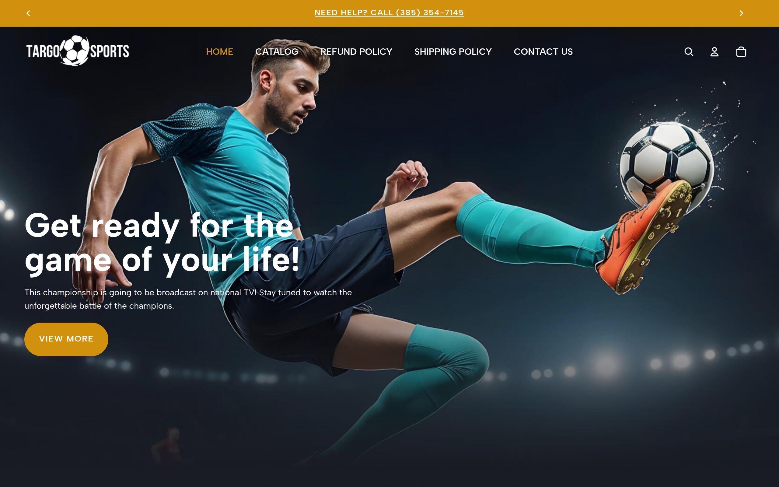 Screenshot of targosports.com